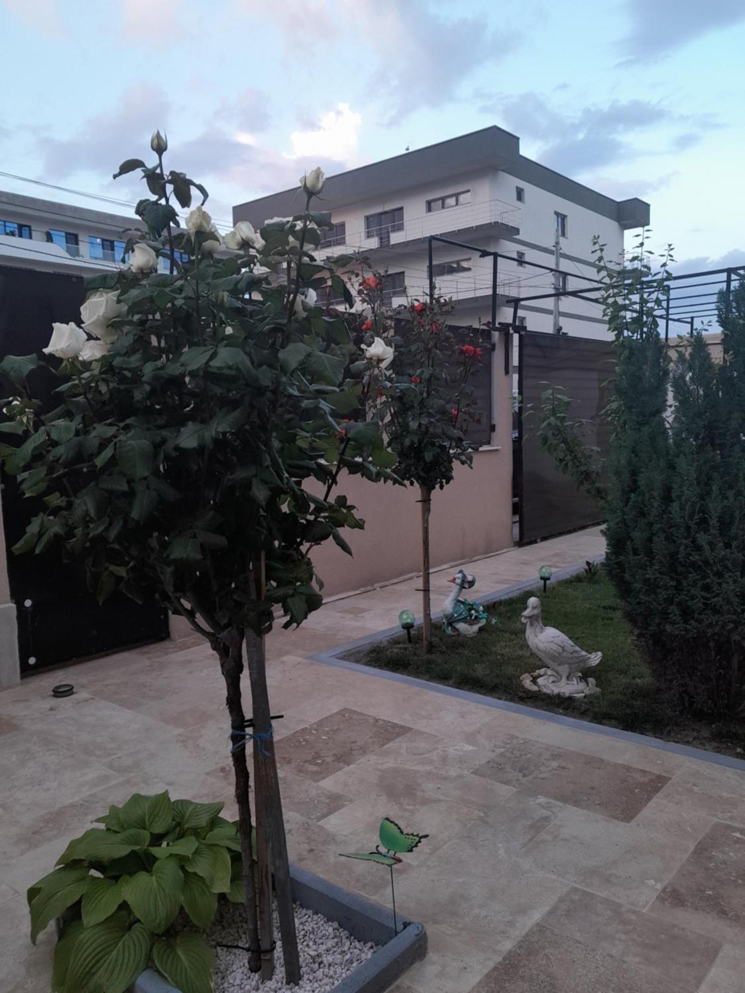 Апартаменти Casa Andrei Неводарі Екстер'єр фото